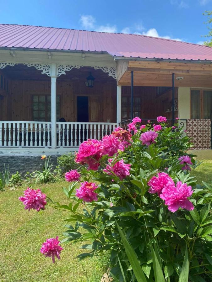 Guest House Lailashi Surmushi Εξωτερικό φωτογραφία