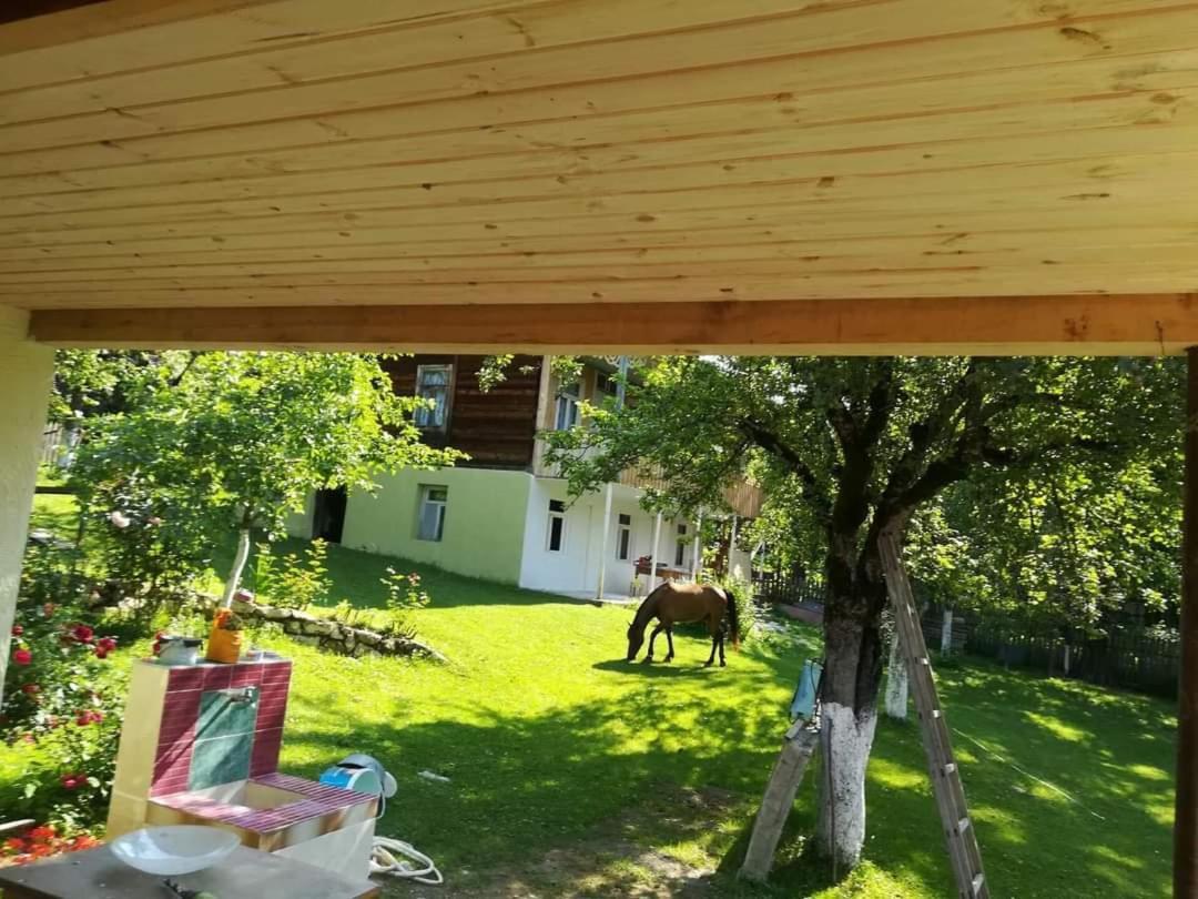 Guest House Lailashi Surmushi Εξωτερικό φωτογραφία
