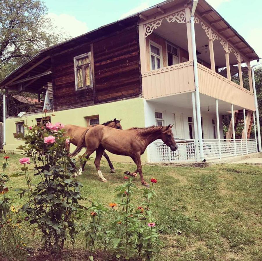 Guest House Lailashi Surmushi Εξωτερικό φωτογραφία